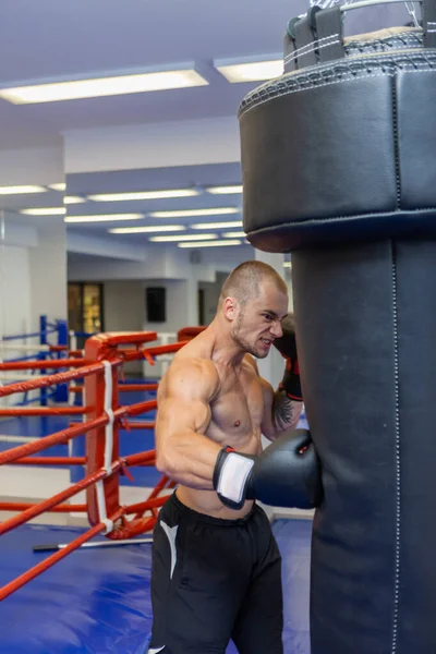 Homem Muscular Com Tronco Luvas Boxe Boxe Saco Perfuração — Fotografia de Stock