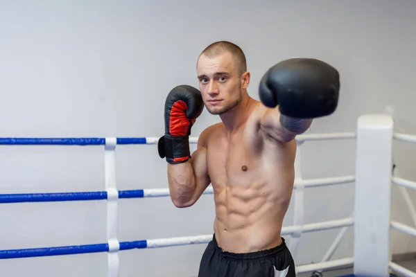 Muskulös Man Med Naken Överkropp Tränar Handslag Med Boxningshandskar Ringen — Stockfoto