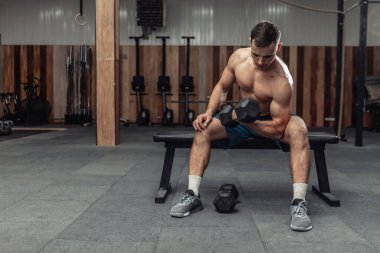 Atletik adam ağır bir dambılla egzersiz yapıyor, spor salonundaki bir bankta otururken konsantre bir şekilde kaslarını çalıştırıyor. Vücut geliştirme ve Fitness