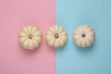 Mini beyaz balkabakları pembe mavi arka planda