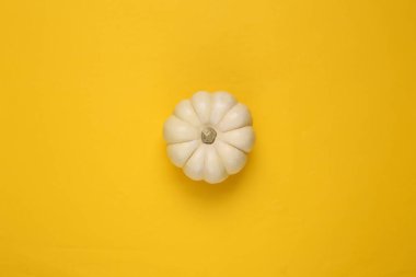 Sarı arka planda mini beyaz balkabağı. Üst görünüm