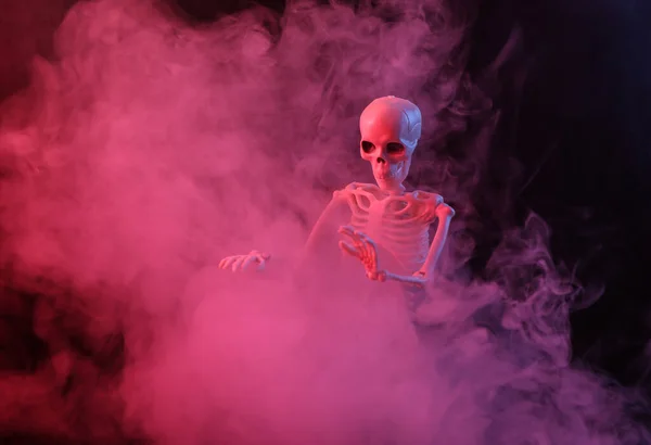 Skeleton in dense smoke with red blue neon light. Scary, Halloween theme