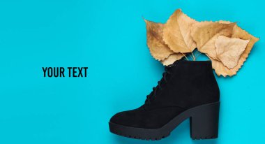 Mavi arka planda düşmüş yaprakları olan siyah süet. Üst Manzara. Boşluğu kopyala