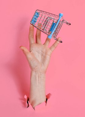 Kadın el arabası yırtık pembe kağıtların arasından küçük alışveriş arabalarını tutuyor. Asgari alışveriş konsepti