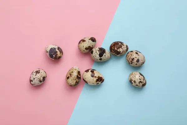 Quail Eggs Pink Blue Background Easter Concept Top View — Stock Photo, Image