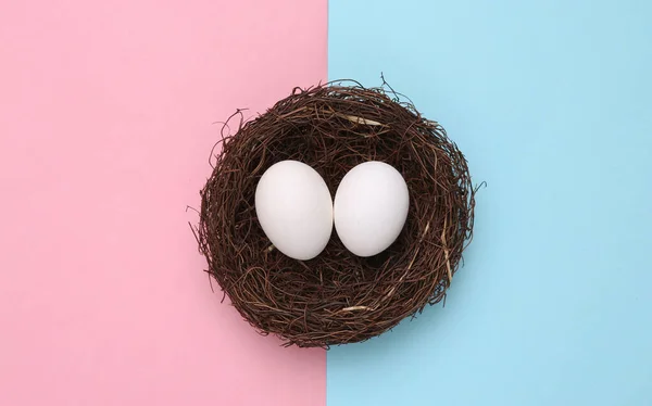 Chicken Eggs Nest Blue Pink Pastel Background Easter Concept Top — Stock Photo, Image