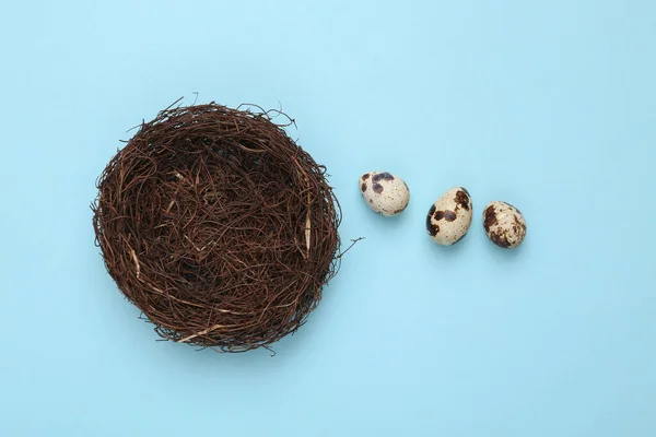 Quail Eggs Nest Blue Pastel Background Easter Concept Top View — Stock Photo, Image