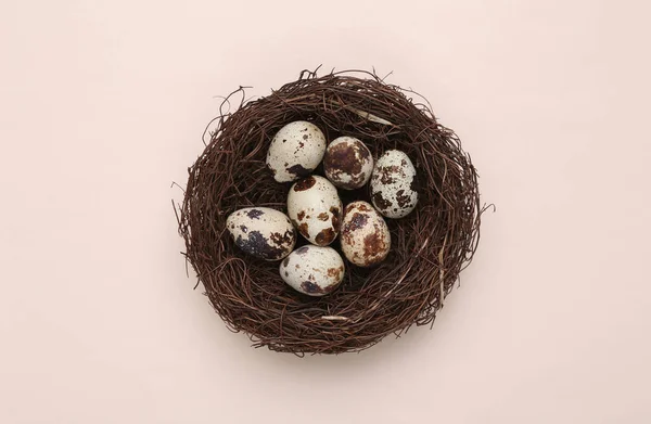 Quail Eggs Nest Beige Background Easter Concept Top View — Stock Photo, Image
