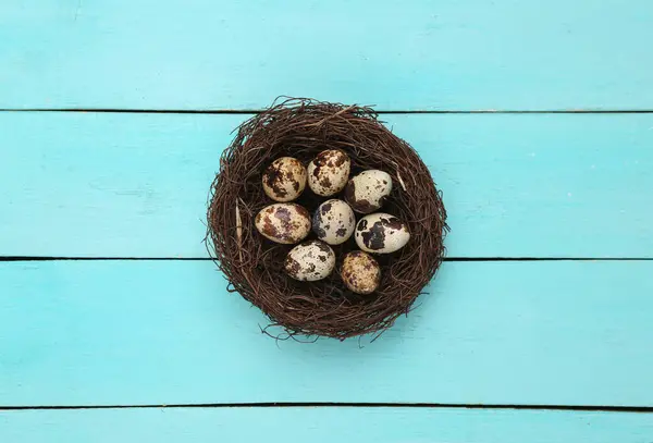 Quail Eggs Nest Blue Wooden Table Easter Concept — Stock Photo, Image