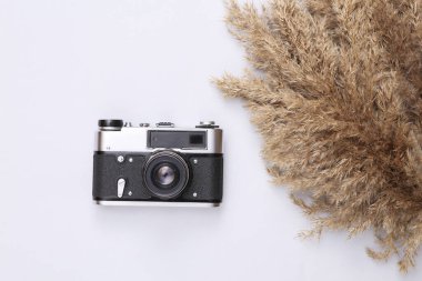 Sonbahar yaratıcı kompozisyonu. Bej rengi sazlıklar buket dalalar ve beyaz arka planda kamera. Seyahat konsepti. Düz yatıyordu