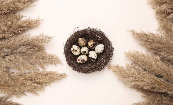 Easter Composition Nest Quail Eggs Reed Branches Pastel Beige Background — Stock Photo, Image