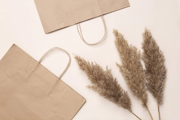 生态的组成与纸张购物袋 芦苇分枝的浅米色背景 购物的概念 弗洛拉 普拉特躺在地上 — 图库照片