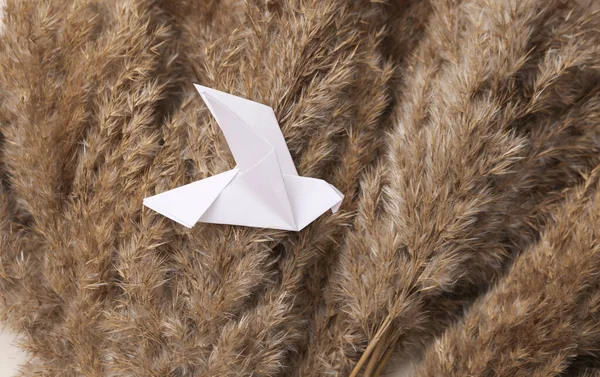 Composición Flora Otoñal Origami Pájaro Ramas Cañas —  Fotos de Stock
