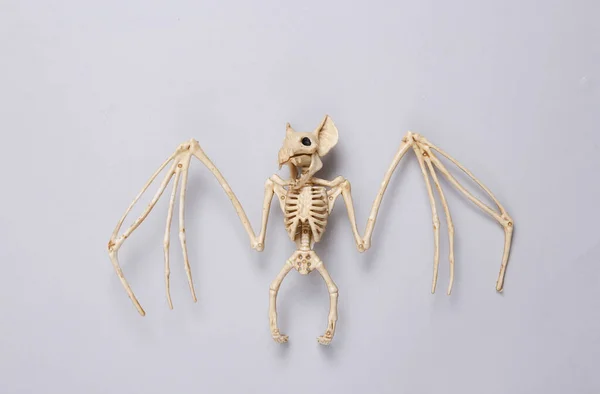 Gruseliges Fledermausskelett Auf Grauem Hintergrund Halloween Dekor — Stockfoto