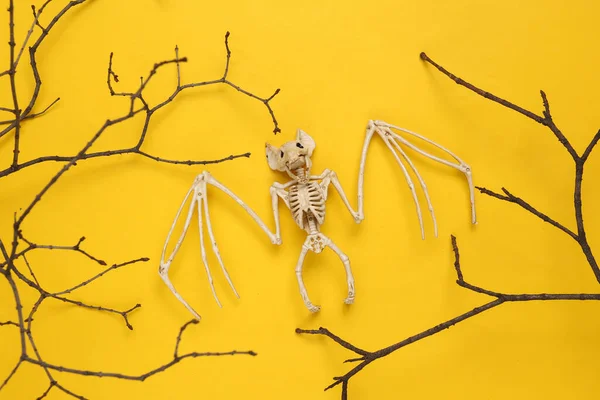 Creative Halloween Layout Tree Branch Bat Skeleton Yellow Background Flat — Stock Photo, Image