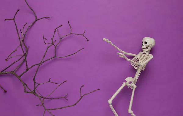Kreatives Halloween Layout Ast Skelett Auf Violettem Hintergrund Flache Lage — Stockfoto