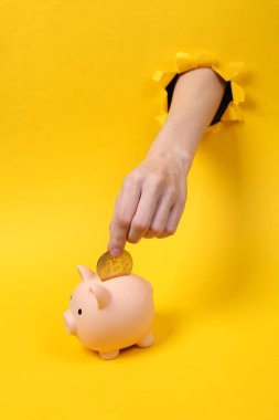Kadın eli domuz yasağına bitcoin koyar.