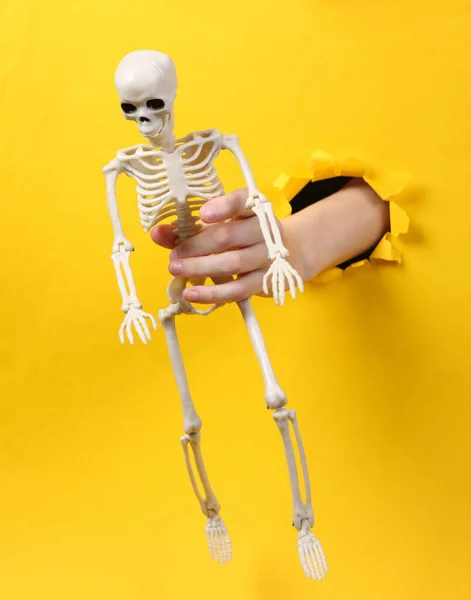 Mano Femenina Sostiene Esqueleto Través Agujero Roto Papel Amarillo Halloween — Foto de Stock