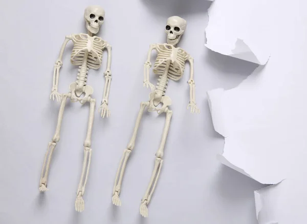 Skelette Und Weißes Zerrissenes Papierblatt Auf Grauem Hintergrund Helloween Konzept — Stockfoto