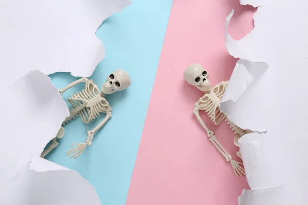 Skeletons White Torn Paper Sheet Pink Blue Background Helloween Background — Zdjęcie stockowe