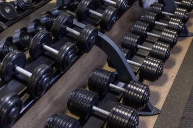 Salonda ağır halterlerle dizilin.