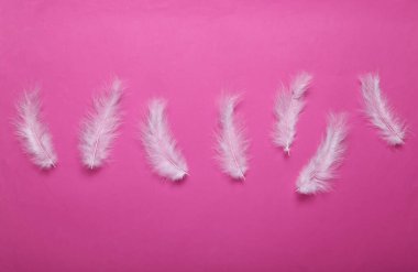 Pembe arka planda yumuşak tüyler. Minimalizm. Üst Manzara. Düz yatıyordu