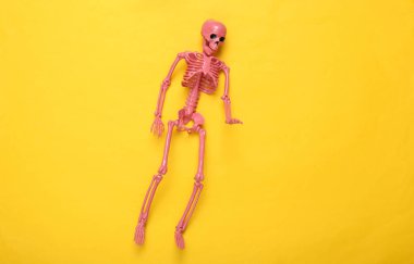 Sarı arka planda pembe iskelet. Üst Manzara. Düz yatıyordu