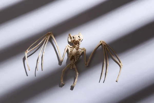 Layout Lhalloween Minimalista Esqueleto Morcego Com Longas Sombras Listradas Moda — Fotografia de Stock