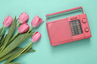 Mavi arka planda fm radyosu olan pembe laleler. Romantik, müzik, aşk konsepti