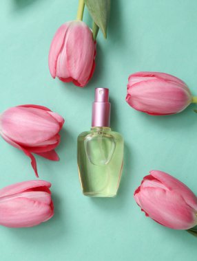 Perfume bottle and pink tulips on blue background. Romantic, beauty concept. Flat lay
