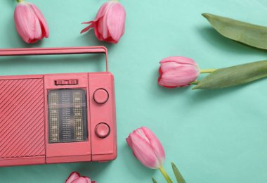 Pink tulips with fm radio on blue background. Romantic, music, love concept. Flat lay