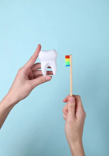 Hands holding Eco-friendly bamboo toothbrush and tooth on blue background. Dental care concept