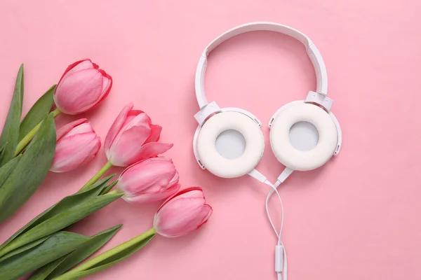 Różowe Tulipany Słuchawkami Różowym Tle Romantyczny Muzyka Koncepcja Miłości — Zdjęcie stockowe