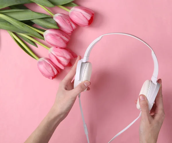 ピンクの背景にヘッドフォンとピンクのチューリップを保持手 ロマン主義音楽愛の概念 — ストック写真