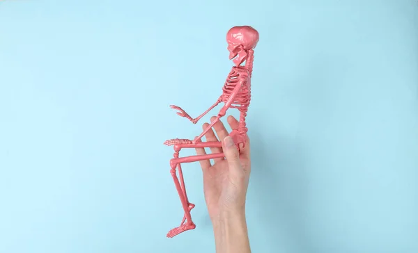 Hand Holds Pink Skeleton Blue Background — Stock Photo, Image