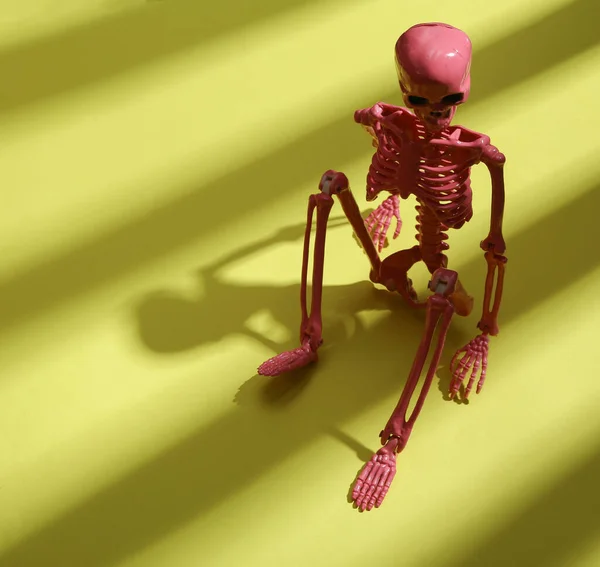Roze Skelet Groene Achtergrond Met Trendy Fashion Gestreepte Schaduw Minimalisme — Stockfoto