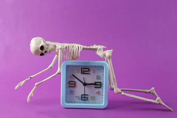 Esqueleto Despertador Sobre Fondo Púrpura Fecha Límite —  Fotos de Stock