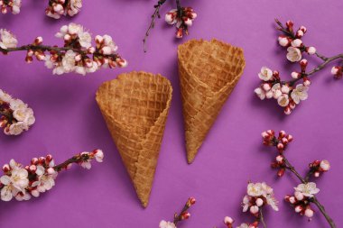 Mor arka planda güzel çiçekli dalları olan gözleme külahı. İlkbahar konsepti. Düz yatış, üst görünüm