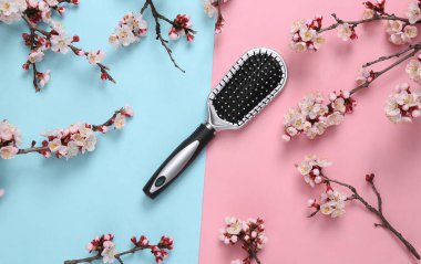 Pembe mavi arka planda güzel beyaz çiçek dalları olan saç fırçası. İlkbahar konsepti. Düz yatış, üst görünüm