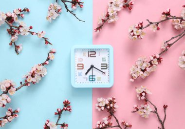 Pembe mavi arka planda güzel pembe çiçek dalları olan çalar saat. İlkbahar konsepti. Düz yatış, üst görünüm