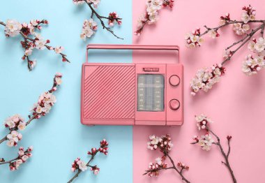 Pembe mavi arka planda güzel beyaz çiçekli dalları olan Retro FM radyo. İlkbahar, müzik konsepti. Düz yatış, üst görünüm