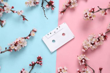 Pembe mavi arka planda güzel pembe çiçekli dalları olan Retro ses kaseti. İlkbahar, müzik konsepti. Düz yatış, üst görünüm