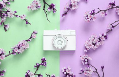 Renkli pastel arka planda güzel çiçekli dalları olan beyaz kamera. Minimum konsept. Düz yatış, üst görünüm