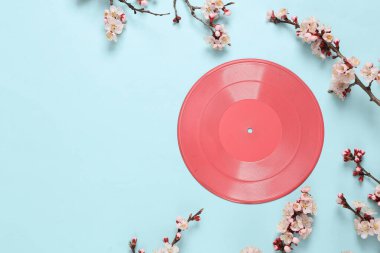 Mavi pastel arka planda güzel beyaz çiçekli dalları olan Retro vinil plaklar. İlkbahar, asgari müzik konsepti. Düz yerde, üst tarafta. Boşluğu kopyala