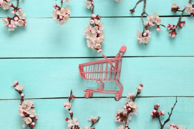 Mini alışveriş arabası ve mavi ahşap arka planda güzel pembe çiçekli dallar. İlkbahar konsepti. Düz yatış, üst görünüm