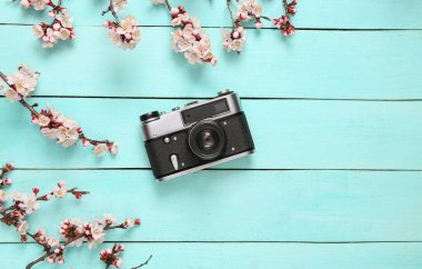 Retro kamera ve mavi ahşap arka planda güzel pembe çiçekli dallar. Bahar zamanı, konsept. Düz yatış, üst görünüm