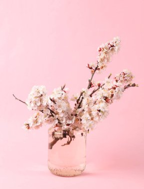 Pembe arka planda cam bir kavanozda güzel dallar..