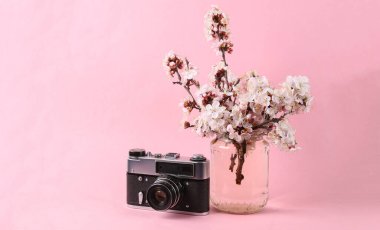 Retro kamera ve pembe arka planda cam kavanozda çiçek açan güzel dallar..