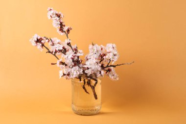 Turuncu arka planda cam bir kavanozda güzel dallar..