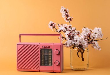 Radyo ve turuncu arka planda cam kavanozda çiçeklenen güzel dallar.